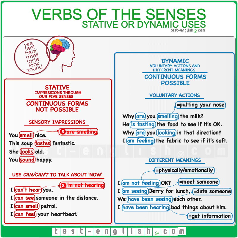 Different глагол. Dynamic verbs в английском. Глаголы Stative verbs. Stative and Dynamic verbs в английском языке. Verbs of senses.